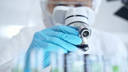 Έρευνα: Φονικός μύκητας απειλεί τον πλανήτη
