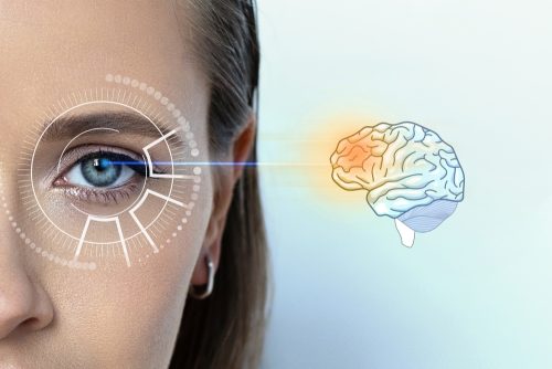 Εγκέφαλος: Ποια είναι η… υπερδύναμή του;