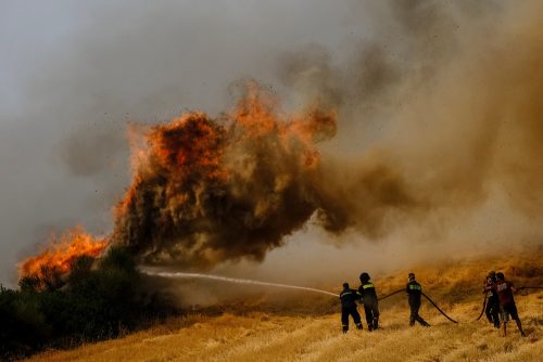 Αττική: Υψηλός κίνδυνος για πυρκαγιά αύριο Κυριακή