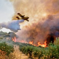 Υπάρχει τρόπος να προστατεύσουμε τη σωματική και ψυχική μας υγεία μετά τις πυρκαγιές;