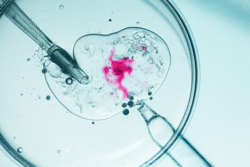 Έρευνα φέρνει επανάσταση στη γονιμότητα: 3D απεικόνιση της εμφύτευσης ανθρώπινου εμβρύου