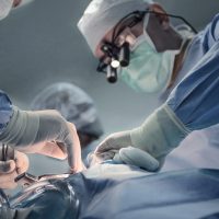 Μεταμόσχευση πνεύμονα χοίρου σε άνθρωπο για πρώτη φορά