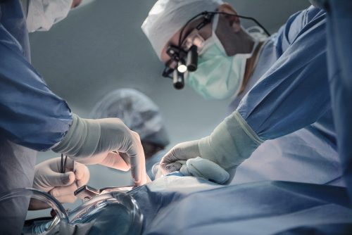 Μεταμόσχευση πνεύμονα χοίρου σε άνθρωπο για πρώτη φορά