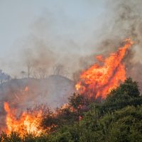 Φωτιά στην Πάτρα: Εκκενώνονται το Καραμανδάνειο και το Κωνσταντοπούλειο γηροκομείο