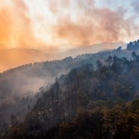 Πάτρα: Οι φωτιές απελευθερώνουν επικίνδυνες καρκινογόνες ενώσεις 3 φορές πάνω από το όριο