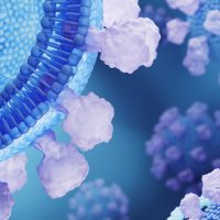 Έχουμε αρχαίους ιούς στο DNA μας; Τι ρόλο παίζουν στην εξέλιξή μας