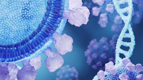 Έχουμε αρχαίους ιούς στο DNA μας; Τι ρόλο παίζουν στην εξέλιξή μας