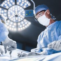 Ιαπωνία: Όλο και πιο κοντά στη δημιουργία νεφρού