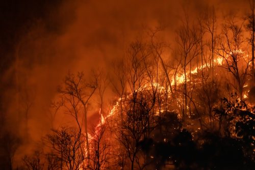 ΠΟΥ: Τοξικές για τον αέρα που αναπνέουμε οι φωτιές