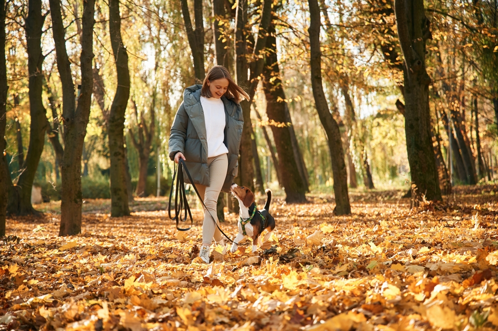 Leaf-peeping walks: Είναι το πιο υποτιμημένο μυστικό ευεξίας και fitness;