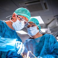 Συκώτι: Πρώτη μεταμόσχευση από γουρούνι σε άνθρωπο