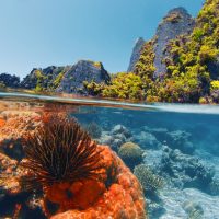 Κλιματική κρίση: Φτάσαμε στο σημείο καμπής; Ποια θα είναι η νέα πραγματικότητα