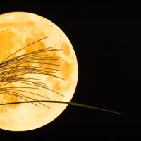 Πανσέληνος της Συγκομιδής: Θα φωτίσει τον ουρανό απόψε