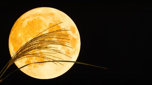 Πανσέληνος της Συγκομιδής: Θα φωτίσει τον ουρανό απόψε