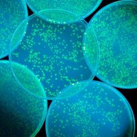 Αντιβιοτικό στην «αφάνεια» 100 φορές ισχυρότερο ενάντια στα υπερβακτήρια