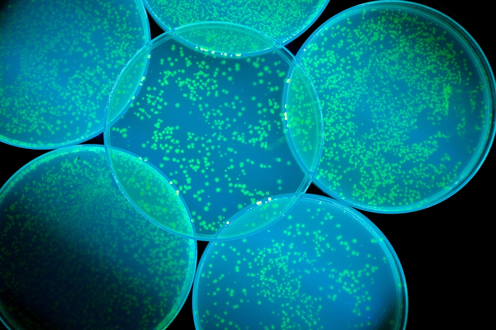 Αντιβιοτικό στην «αφάνεια» 100 φορές ισχυρότερο ενάντια στα υπερβακτήρια