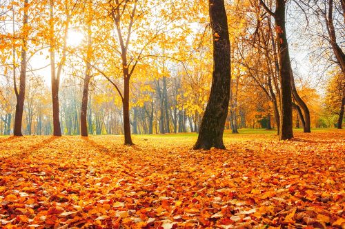 Καιρός: Η θερμοκρασία έως 24 βαθμούς – Σε ποιες περιοχές θα βρέξει