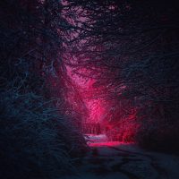 Stranger Things: Η Μίλι Μπόμπι Μπράουν κατηγορεί τον Ντέιβιντ Χάρμπουρ για bullying