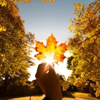 Αλλαγή: Ένα «τίποτα» μπορεί να επηρεάσει τα πάντα