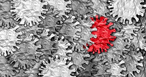 Γρίπη των πτηνών: Επιστήμονες προειδοποιούν για κίνδυνο πανδημίας