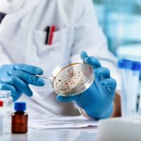 Η AI στον αγώνα ενάντια στα ανθεκτικά μικρόβια