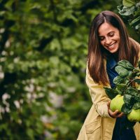 Κυδώνι: Το «ταπεινό» φθινοπωρινό φρούτο που μπορεί να ρυθμίσει την πίεση