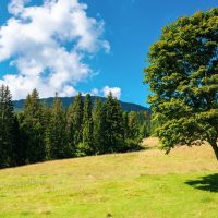 Αίθριος ο καιρός: Έως τους 23 βαθμούς η θερμοκρασία – Έρχεται αφρικανική σκόνη από την Κυριακή