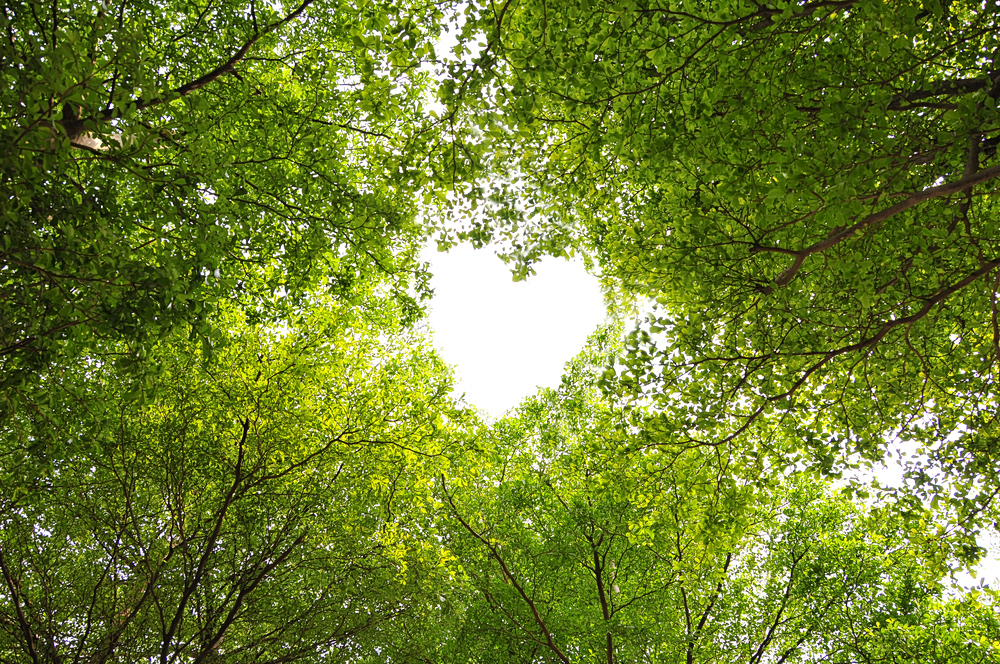 Eco Love: Η αγάπη για τον πλανήτη είναι πράξη αυτό-φροντίδας