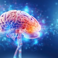 Μήπως ο εγκέφαλος σου είναι ακόμα έφηβος; Αυτές είναι οι 5 ηλικίες του