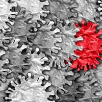 Γρίπη των πτηνών: Η ΕΕ προετοιμάζεται για σενάριο πανδημίας