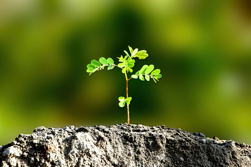 Οι εποχές είναι εκτός «ρυθμού» και οι επιστήμονες το επιβεβαιώνουν