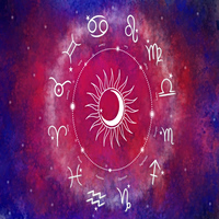 Κάτι κρύβουν αυτά τα ζώδια τα Χριστούγεννα…