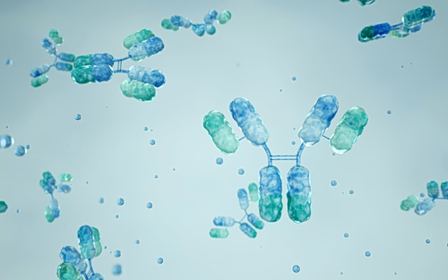 Αντίσωμα που νικά τον καρκίνο: Το νέο ιατρικό άλμα;