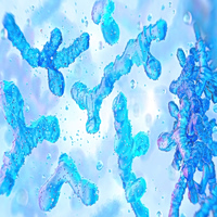 Η «αόρατη» άμυνα του εντέρου: Πρωτεΐνη μπλοκάρει τα μικρόβια πριν μας αρρωστήσουν