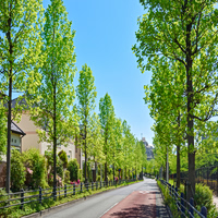 Η φύση έχει… φαβορί και η καρδιά σου επίσης