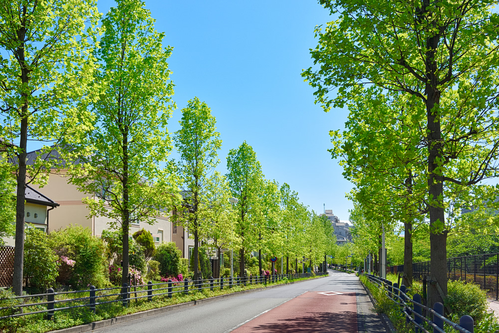 Η φύση έχει… φαβορί και η καρδιά σου επίσης