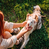 Όσοι αφιερώνουν 15 λεπτά σε αυτή την συνήθεια έχουν βρει το μυστικό για μια ζωή χωρίς στρες