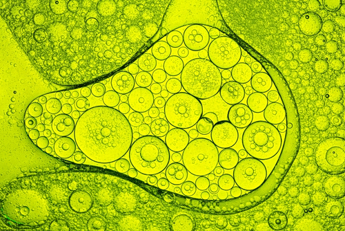 Νέα θεραπεία αποκατάστασης τραυματισμών στον νωτιαίο μυελό