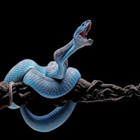 Απώλεια βάρους: Τι παραπάνω ξέρουν τα… φίδια;