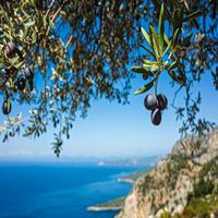 Sea Diet για ευζωία και μακροζωία