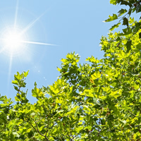 Φως: Υπάρχει κάτι που το ξεπερνά σε ταχύτητα;