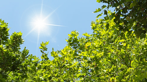 Φως: Υπάρχει κάτι που το ξεπερνά σε ταχύτητα;