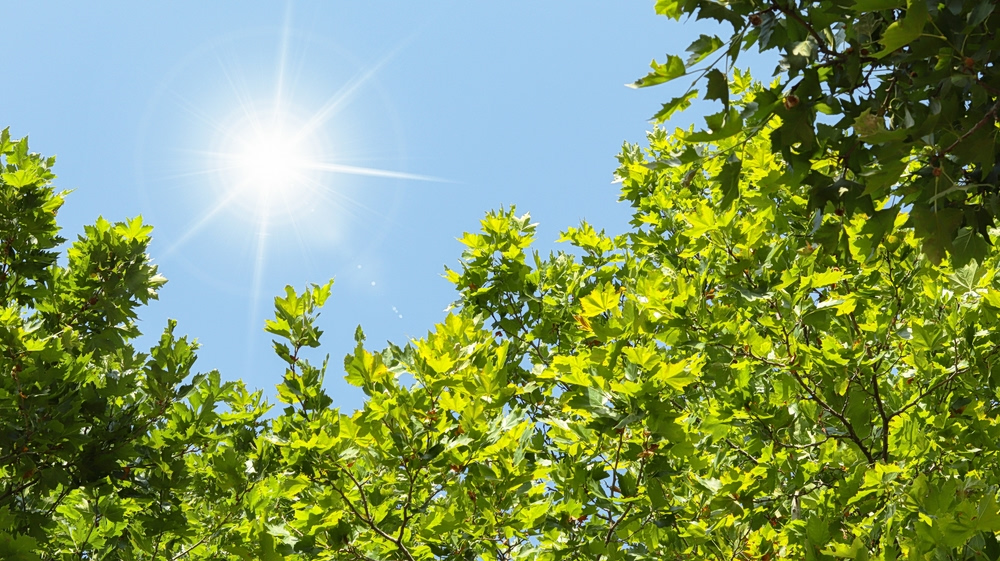 Φως: Υπάρχει κάτι που το ξεπερνά σε ταχύτητα;