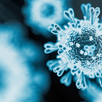 Γρίπη των πτηνών H9N2: Το πρώτο κρούσμα σε άνθρωπο στην Ευρώπη