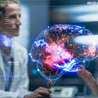 Πώς λειτουργεί η μνήμη; Ερευνητές του Χάρβαρντ απαντούν