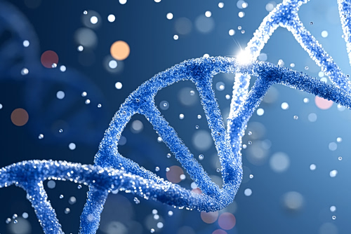 Το DNA σας δεν μένει ποτέ ακίνητο – και αυτό ίσως λέει κάτι για τον καρκίνο