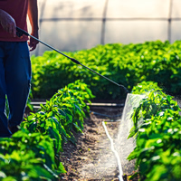 Φυτοφάρμακα και υγεία: Κίνδυνος καρκίνου έως και 150% μεγαλύτερος