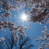 Τι καιρό θα κάνει το Πάσχα