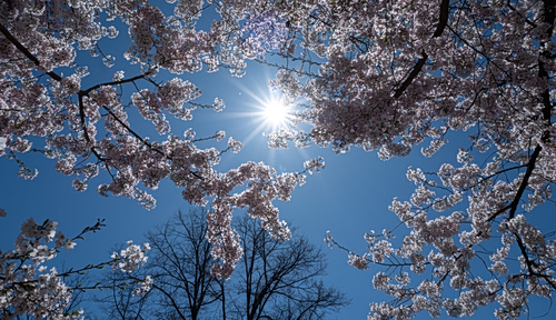 Τι καιρό θα κάνει το Πάσχα