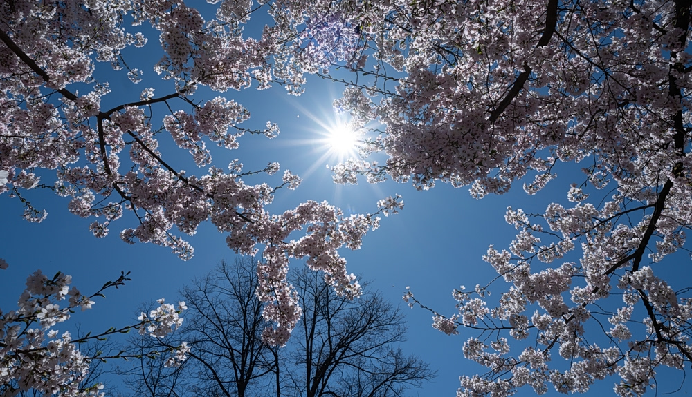 Με τι καιρό θα σουβλίσουμε αρνί – Πού θα βρέξει μετά το μεσημέρι